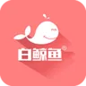 ׾·2025ذװv4.5.6 ٷ