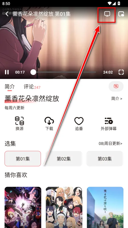 次元城动画(动漫追番平台)