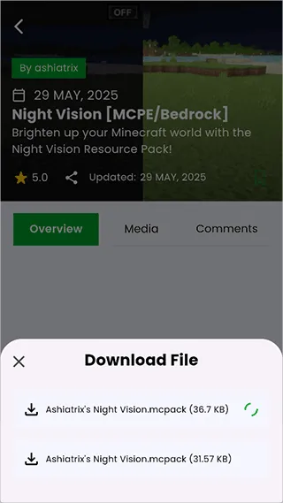 MCPEDL2025官方正版