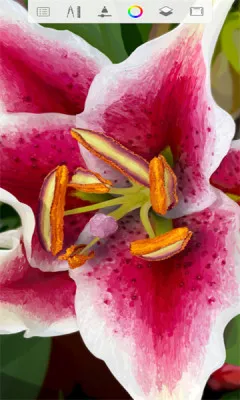 绘画2025官方最新版本 绘画2025官方最新版本