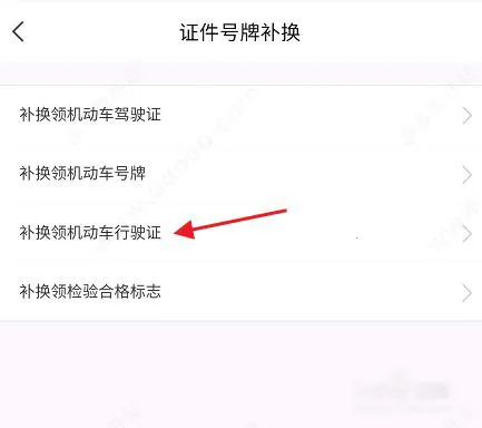 宁归来金陵网证2025最新版本