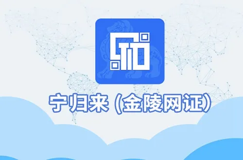宁归来金陵网证2025最新版本
