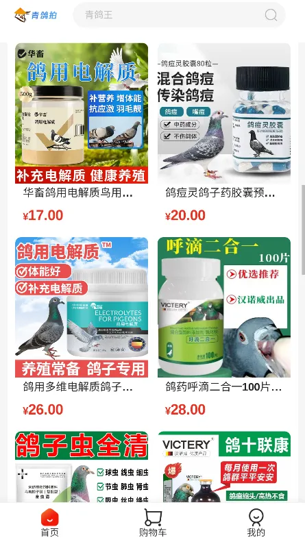 青鸽拍最新手机版 青鸽拍最新手机版