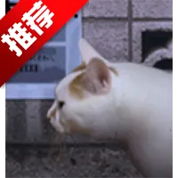 è̷֮(èðϷ)v1.0 Ѱ