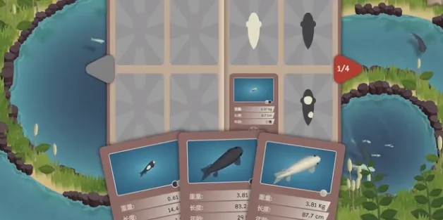 锦鲤农场2025最新版本 锦鲤农场2025最新版本