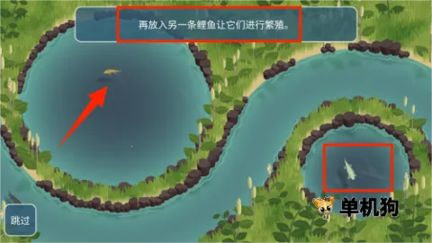 锦鲤农场2025最新版本 锦鲤农场2025最新版本