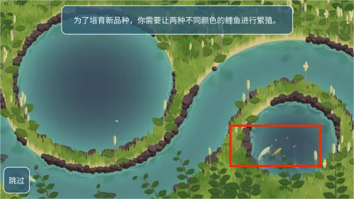 锦鲤农场2025最新版本 锦鲤农场2025最新版本