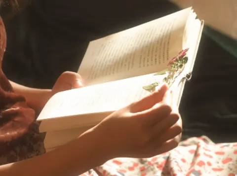 �۷��Ķ�(С˵�Ķ�ƽ̨)