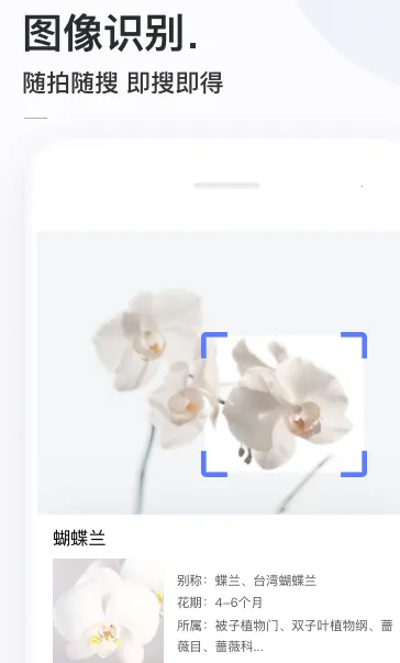 简单搜索2025最新版本