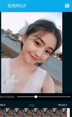 GIF Master(GIF��ͼ����)