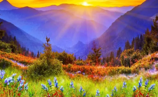 壁纸秀秀(壁纸资源平台)