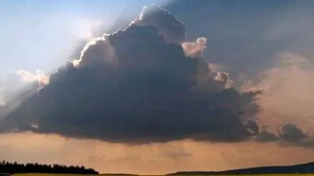 喵喵实时预报天气(天气查询软件)