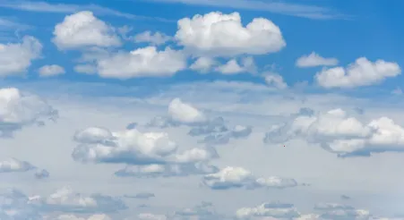 喵喵实时预报天气(天气查询软件)