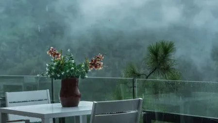 喵喵实时预报天气(天气查询软件)