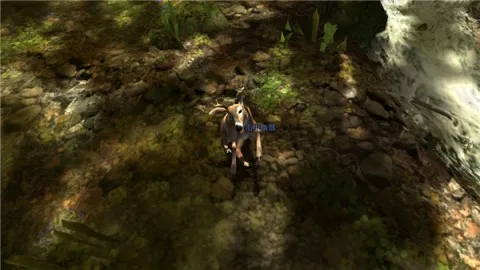 猎鹿人2025官方正版