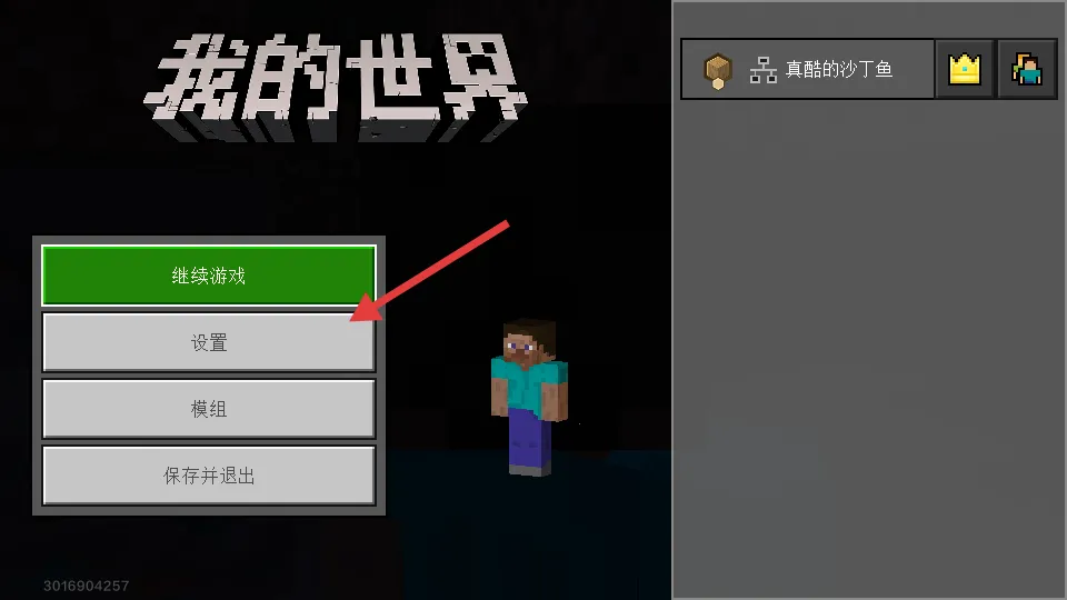 我的世界(沙盒游戏玩法)