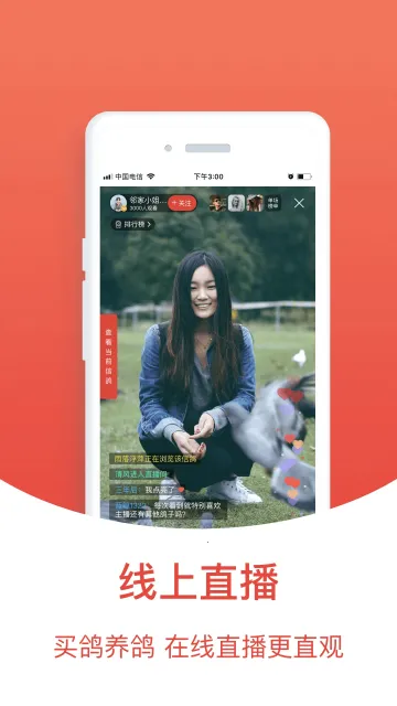 ����ͷ���Ѹ�����2025����