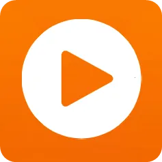 本地视频播放解码2026官方最新版本