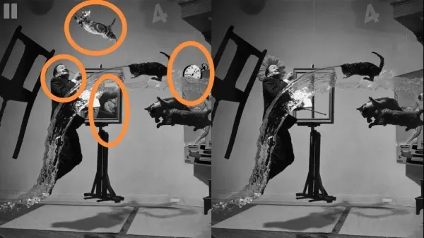 慧眼寻异(找茬游戏)