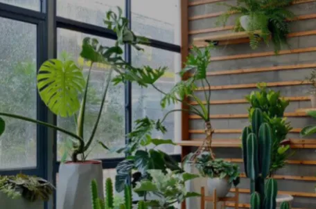 方太幸福家(家庭生活服务平台)