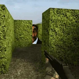 �Թ�ð������(�Թ�ð��������Ϸ)v1.0 ��׿��