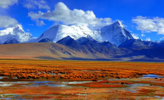 壁画小店最新手机版