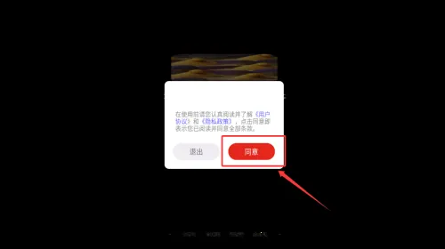 奈糖壁纸(壁纸美化平台)