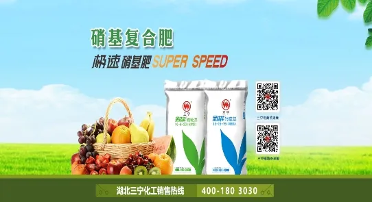 三宁物流(物流运输平台)