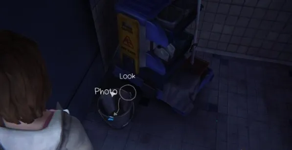 Life is Strange2026下载