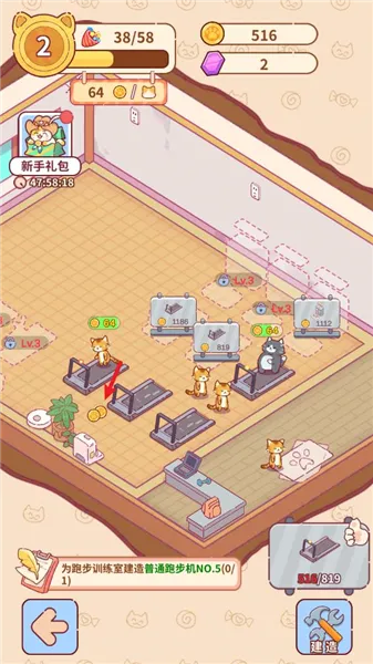 猫咪健身房2026官方最新版本