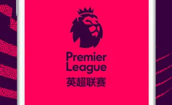 Ӣ������