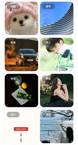 �ʺ�èpro�����2026����