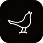 小鸟音箱2026官方正版