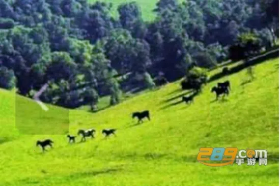 爱陇县2026官方正版