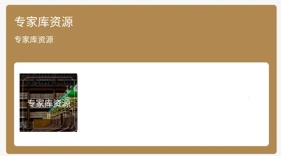 中文国际2026下载安装