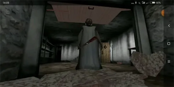 奶奶32026官方最新版本