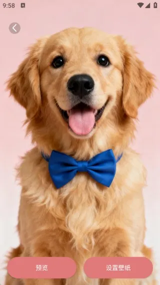 Ѥ���ֽ2026���ذ�װ