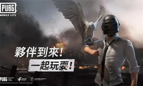 pubg国际服