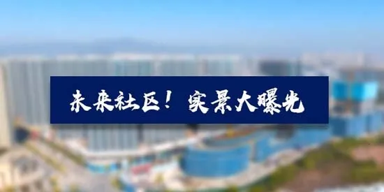 金华房网2026官方正版 金华房网2026官方正版
