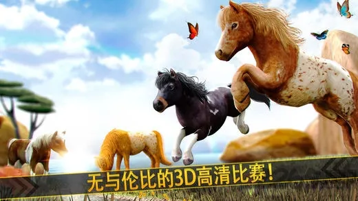 �����п�2026����