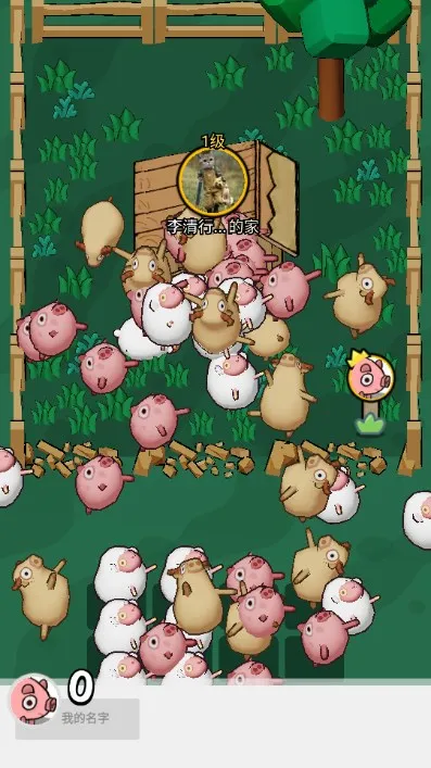 拱呀拱安卓版手机版