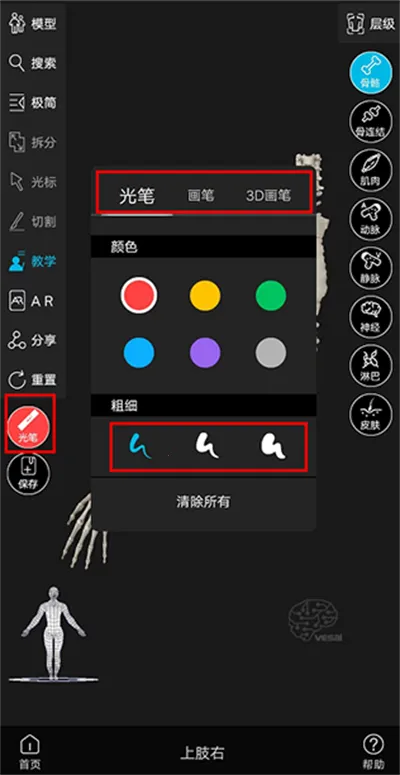 解剖大师安卓版手机版