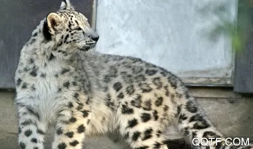 中国动物园协会2026官方正版