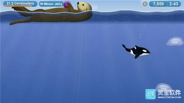 美味星球42026官方最新版本