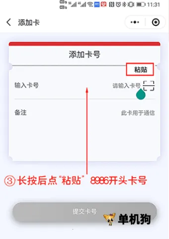 表鸽最新手机版