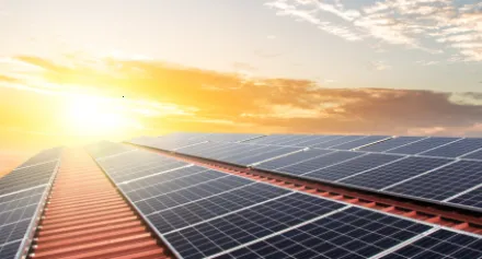 瑞光宝盒安卓版手机版