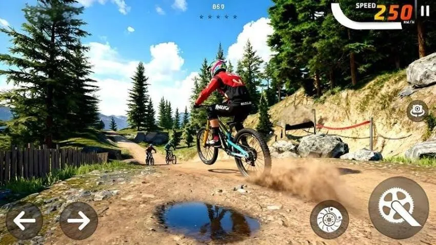 �������г�ԽҰ