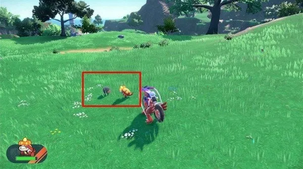 口袋妖怪朱紫GBA