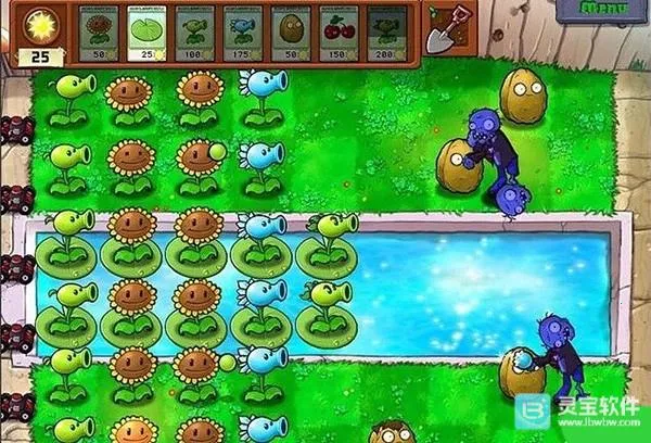 植物大战僵尸CL