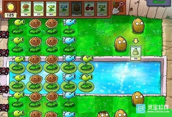 植物大战僵尸CL